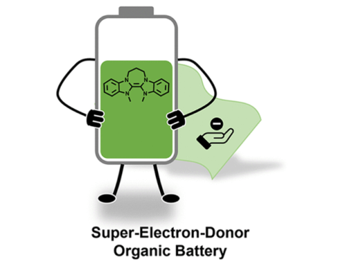 Une avancée vers des batteries organiques plus durables